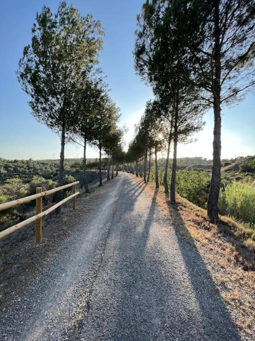 Apto. Rural Cielo. Al Lado Torre Jérica Buitenkant foto